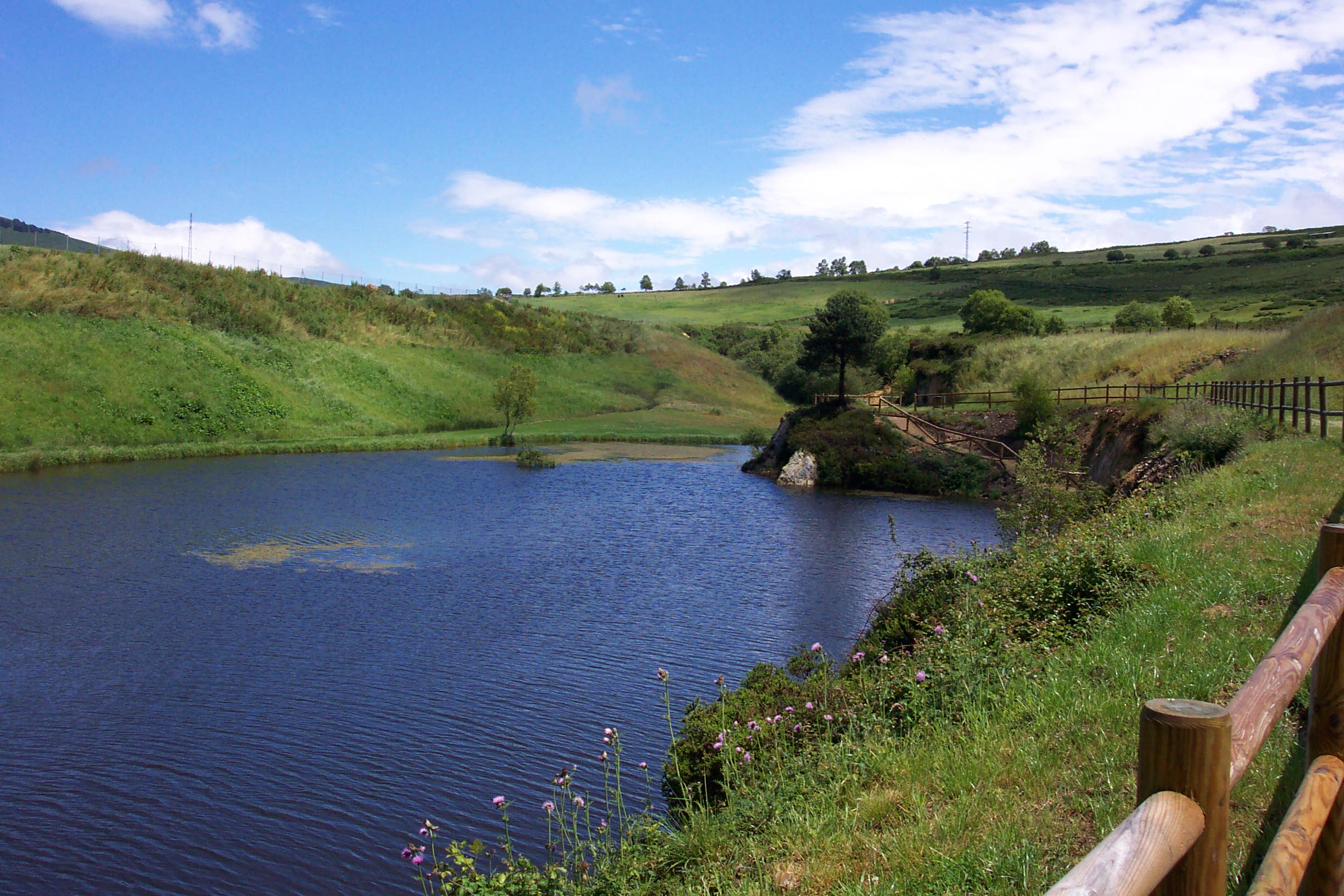 Tineo